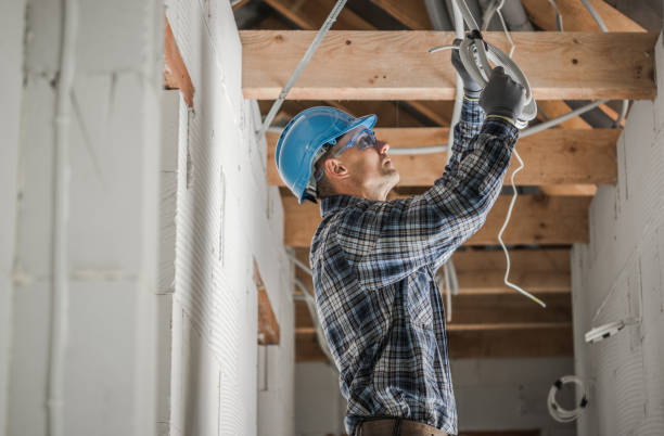 Best Ceiling Fan Installation Electrician  in Statesboro, GA