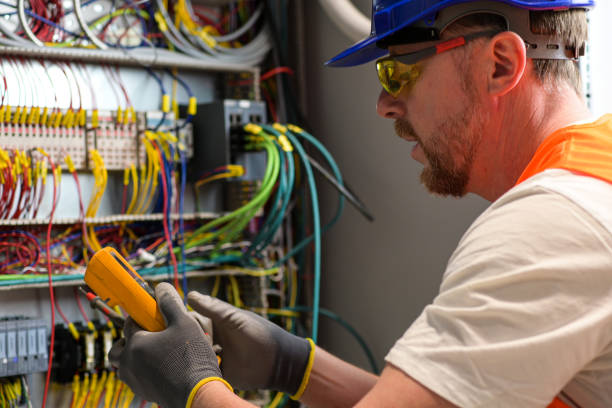 Best Electric Panel Repair  in Statesboro, GA